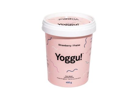 Yogourt Noix de Coco de Culture Fraise Cheap