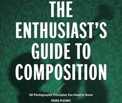 Khara Plicanic: The Enthusiast s Guide to Composition [2016] paperback on Sale